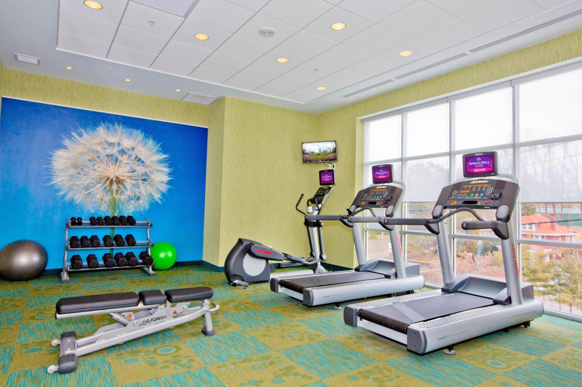 Hotel Springhill By Marriott Pittsburgh 3*